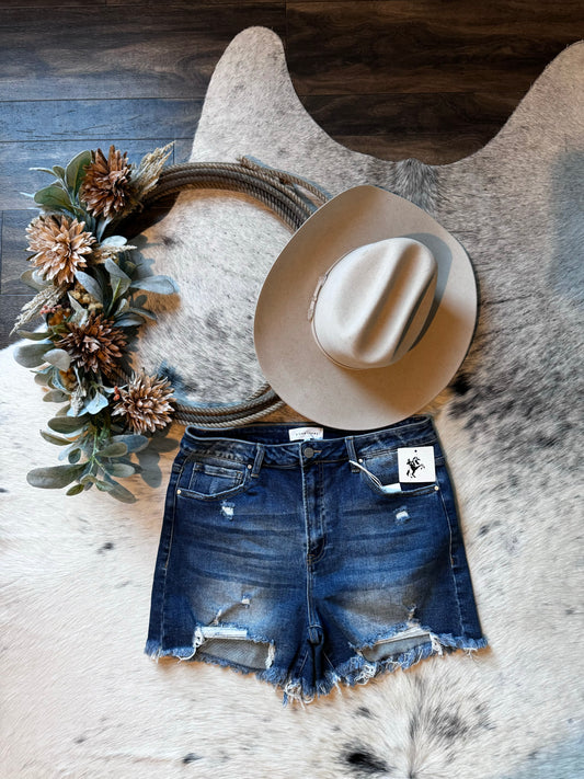 Plus Size Shorts